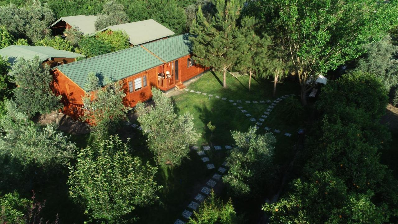 Seker Bungalov Διαμέρισμα Çıralı Εξωτερικό φωτογραφία