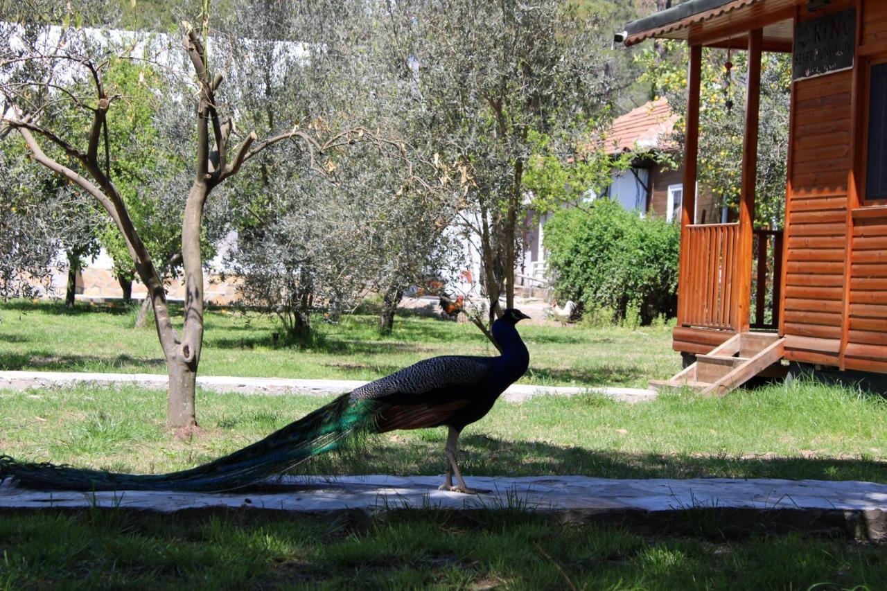 Seker Bungalov Διαμέρισμα Çıralı Εξωτερικό φωτογραφία