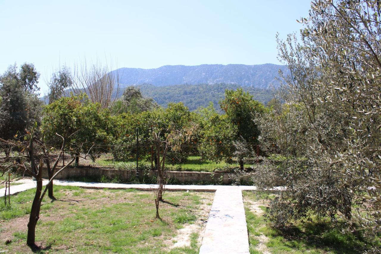 Seker Bungalov Διαμέρισμα Çıralı Εξωτερικό φωτογραφία