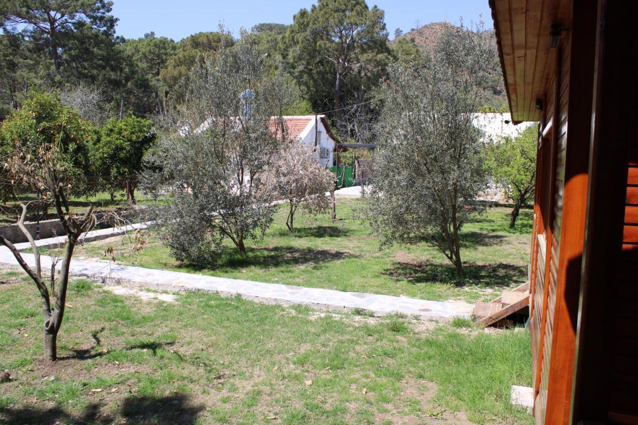 Seker Bungalov Διαμέρισμα Çıralı Εξωτερικό φωτογραφία