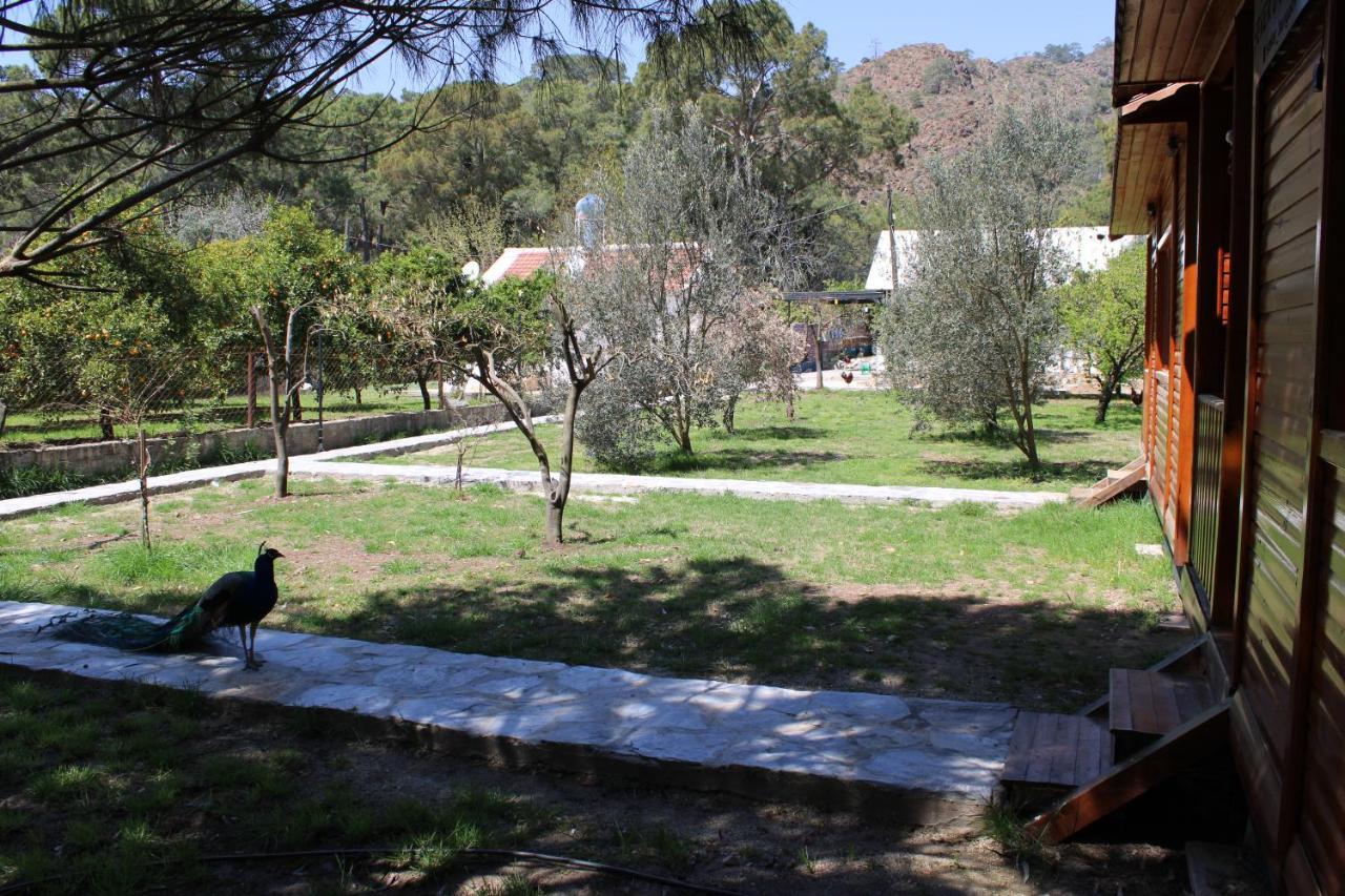 Seker Bungalov Διαμέρισμα Çıralı Εξωτερικό φωτογραφία
