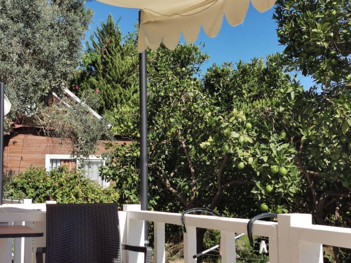 Seker Bungalov Διαμέρισμα Çıralı Εξωτερικό φωτογραφία