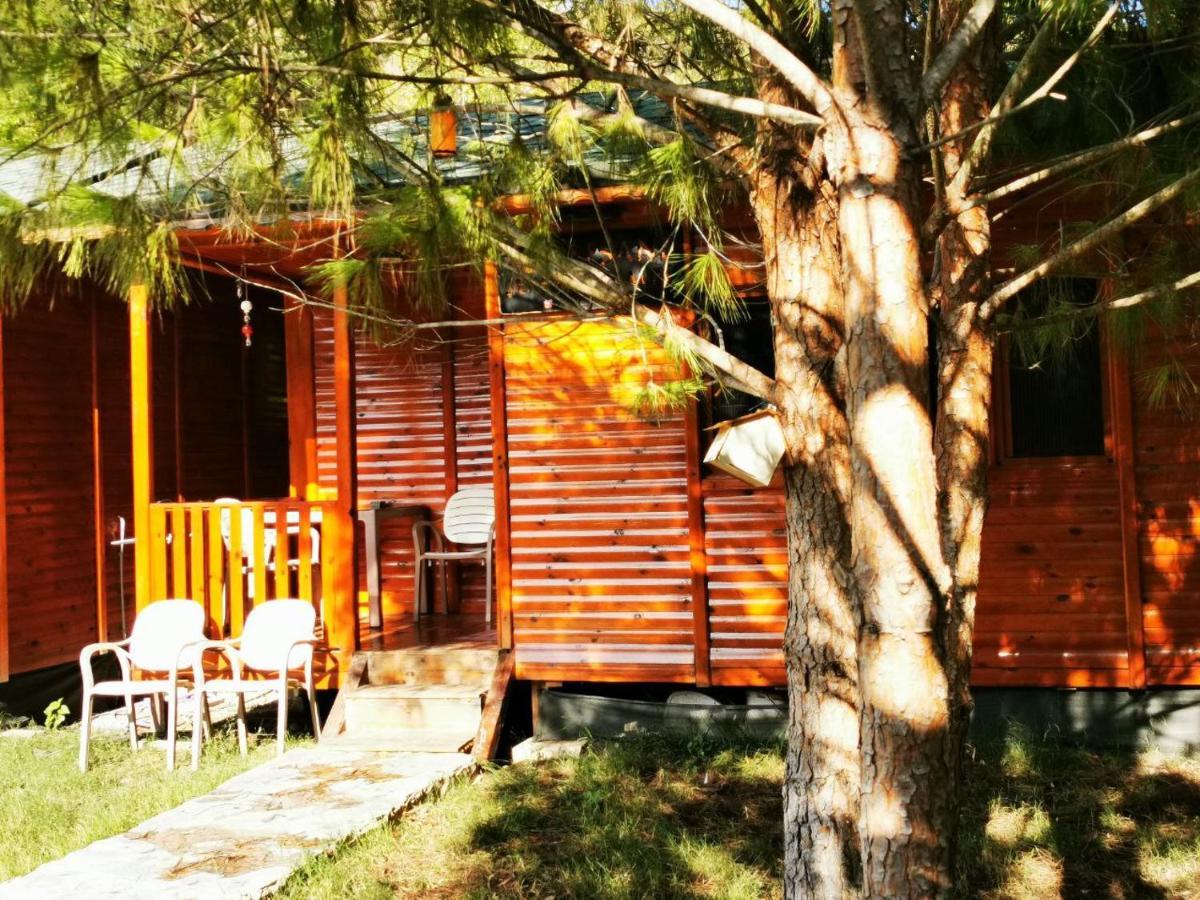 Seker Bungalov Διαμέρισμα Çıralı Εξωτερικό φωτογραφία