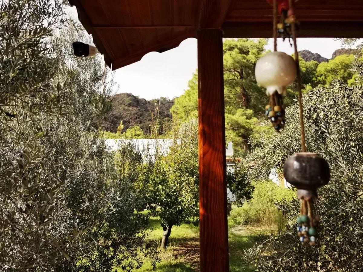 Seker Bungalov Διαμέρισμα Çıralı Εξωτερικό φωτογραφία